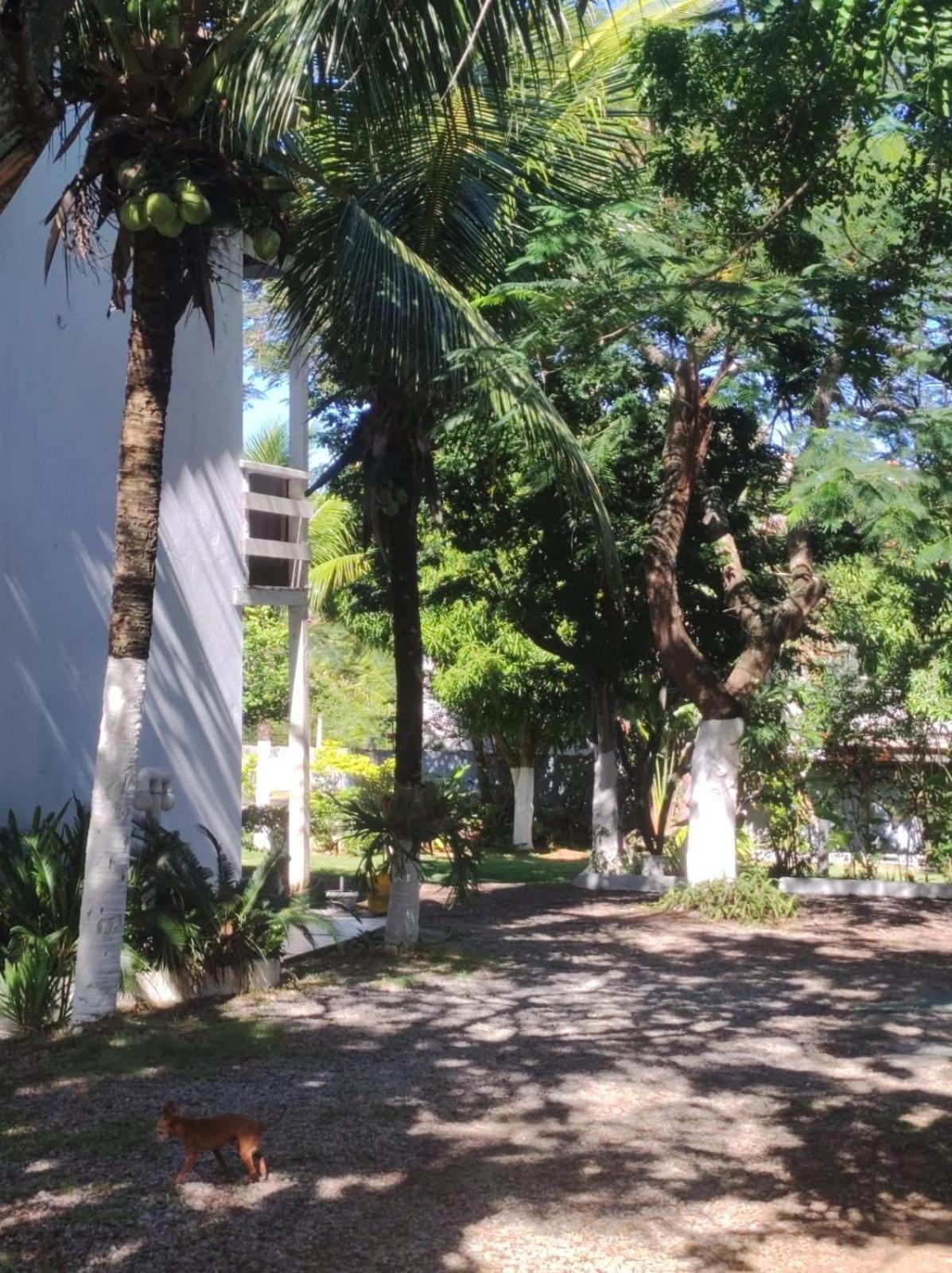 Lm Suites Búzios Exteriér fotografie